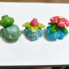 希少！初期フシギダネ 進化3体セット