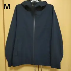 Item thumbnail for item c3378f73-06f4-4b08-bb01-ea6d8f5db38c