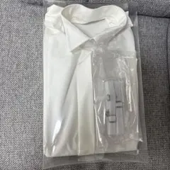 Item thumbnail for item 2bd0a633-16eb-4803-afbe-47bd6f0822ac