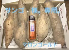 サンゴ 様。専用になります。Sサイズマロンゴールド箱込みおよそ1kg。