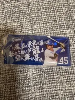 中日ドラゴンズ 選手応援歌キーホルダー 土田龍空 ドラゴンズガチャ