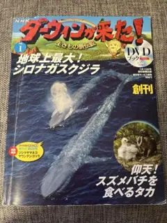 ダーウィンが来た！シロナガスクジラ特集