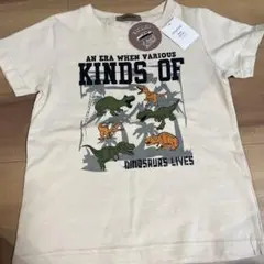 VANDASH120サイズ