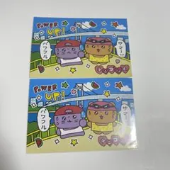 チェゴシム ポストカード