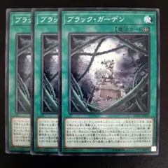 T1515 遊戯王 ブラック・ガーデン