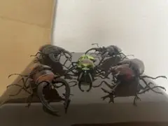 昆虫フィギュア 5体セット