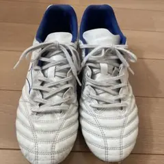 ミズノモナルシーダネオ