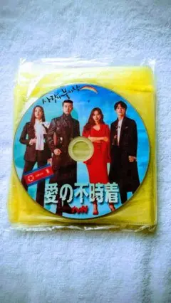 愛の不時着 DVD 8枚組(吹替)