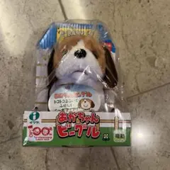 イワヤ あかちゃん ビーグル