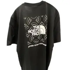 【正規新品】THE NORTH FACE半袖 Tシャツ US限定 (L)黒
