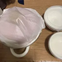 Item thumbnail for item 2ff59172-440a-4b10-8c87-76f1c92b9e43