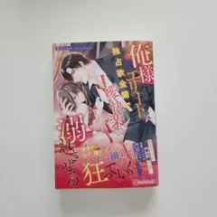 俺様エリートは独占欲全開で愛と快楽に溺れさせる