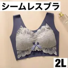 シームレスブラ　大きいサイズ ノンワイヤー ナイトブラ 2L