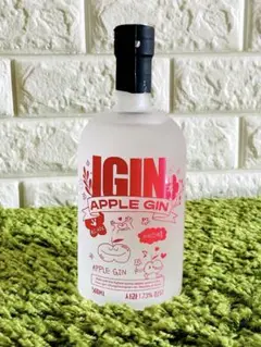 【訳あり】BTS ジン IGIN アップルジン ピンク