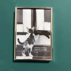 フジカラー　フォトスタンド シルバー