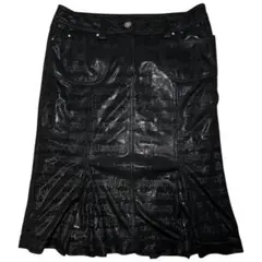 Item thumbnail for item 17b1a15e-1aff-4d81-853b-1f76a627c40e