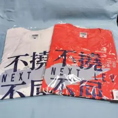 ラグビー　スピアーズ　不撓不屈　Tシャツ　Lサイズ　2枚セット