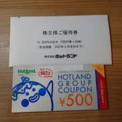 ホットランド株主優待券15000円分