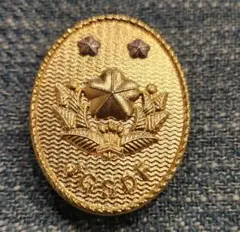 Item thumbnail for item 0167792d-d09f-49fc-9a90-73518c32e8f4