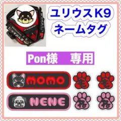 Item thumbnail for item 8e9ece6d-c2ff-47f6-83eb-032907a5d35e