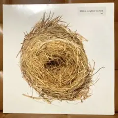 Wilco – A Ghost Is Born★希少2枚組レコード送料無料