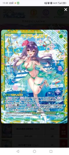 Z/X ペクティリス∀（SSR）