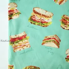 SALEハンバーガー柄☆薄めオックス☆ペパーミント☆はぎれ生地布