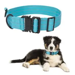 Item thumbnail for item 99e8c379-0b64-4b0f-a898-76a7eb8d5cc4