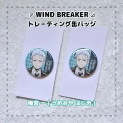 WIND BREAKER ⚝ 梅宮 一 / 缶バッジ ２点セット
