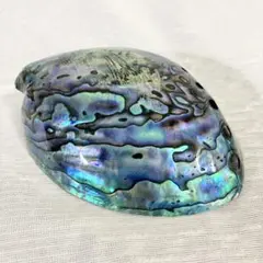 アバロンシェル　浄化皿 パウアシェル 貝殻 小物入れ　置物