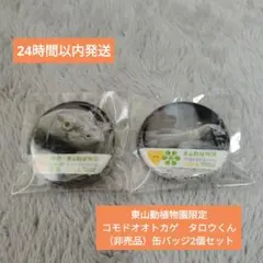 （匿名発送）東山動植物園限定　コモドオオトカゲ　タロウくん　非売品セット
