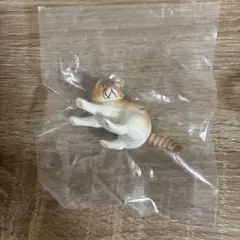 ガチャガチャ　風にも負けず。