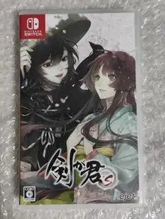 剣が君 Switch ソフト