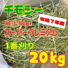 Item thumbnail for item 4bf93621-d4a2-4fb7-bec2-1eb9970034d8