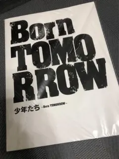 少年たち born tomorrow パンフレット