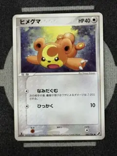 【10点2500円引き】ヒメグマ