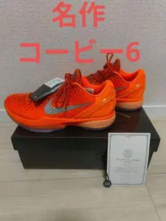 Nike Kobe 6 Protro "Total Orange" 28.5