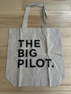 Item thumbnail for item 17f1f240-d178-425d-8b8b-34fb34efd14e