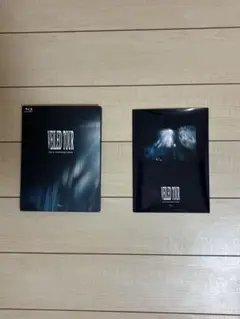 Item thumbnail for item 866fd710-9ea0-4027-93e5-b039aead7073