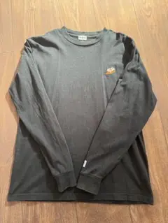 TES テス　USA BUHI エンドレスサマー　ロンT