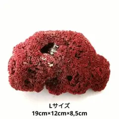 稀少 天然 赤珊瑚 原石 結晶 鉱物標本 パイプオルガン珊瑚 アクアリウム 2025年最新】パイプオルガンサンゴの人気アイテム - メルカリ