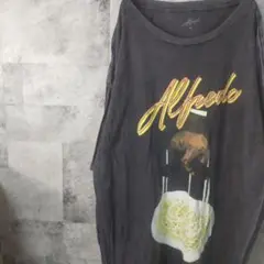 半袖TシャツUSA古着ビッグオーバーサイズグレーXL　A13,52
