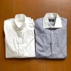 Item thumbnail for item 00287935-2caf-4727-a792-a35304c5b9b0