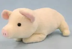 新品mm★ぬいぐるみ　仔ブタのプリン　アイボリー（ぶた、ブタ、ぬいぐるみ