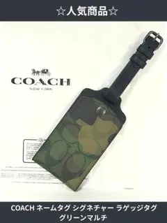 Item thumbnail for item 4cf6d525-5ee5-48d6-9da8-6a0a917d67ad
