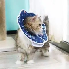 エリザベスカラー 猫用 小型犬用 術後傷口保護 傷舐め防止 引っ掻き防止