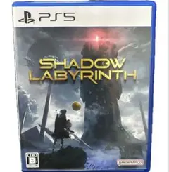 PS5 シャドウラビリンス　特典未使用　Shadow Labyrinth