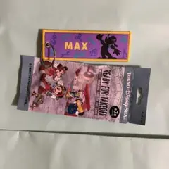 フライトタグ ディズニー マックス
