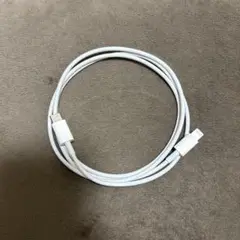 純正 iPhone アップル ライトニングケーブル 急速 タイプC ケーブル