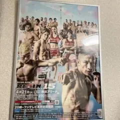 RIZIN15ポスター